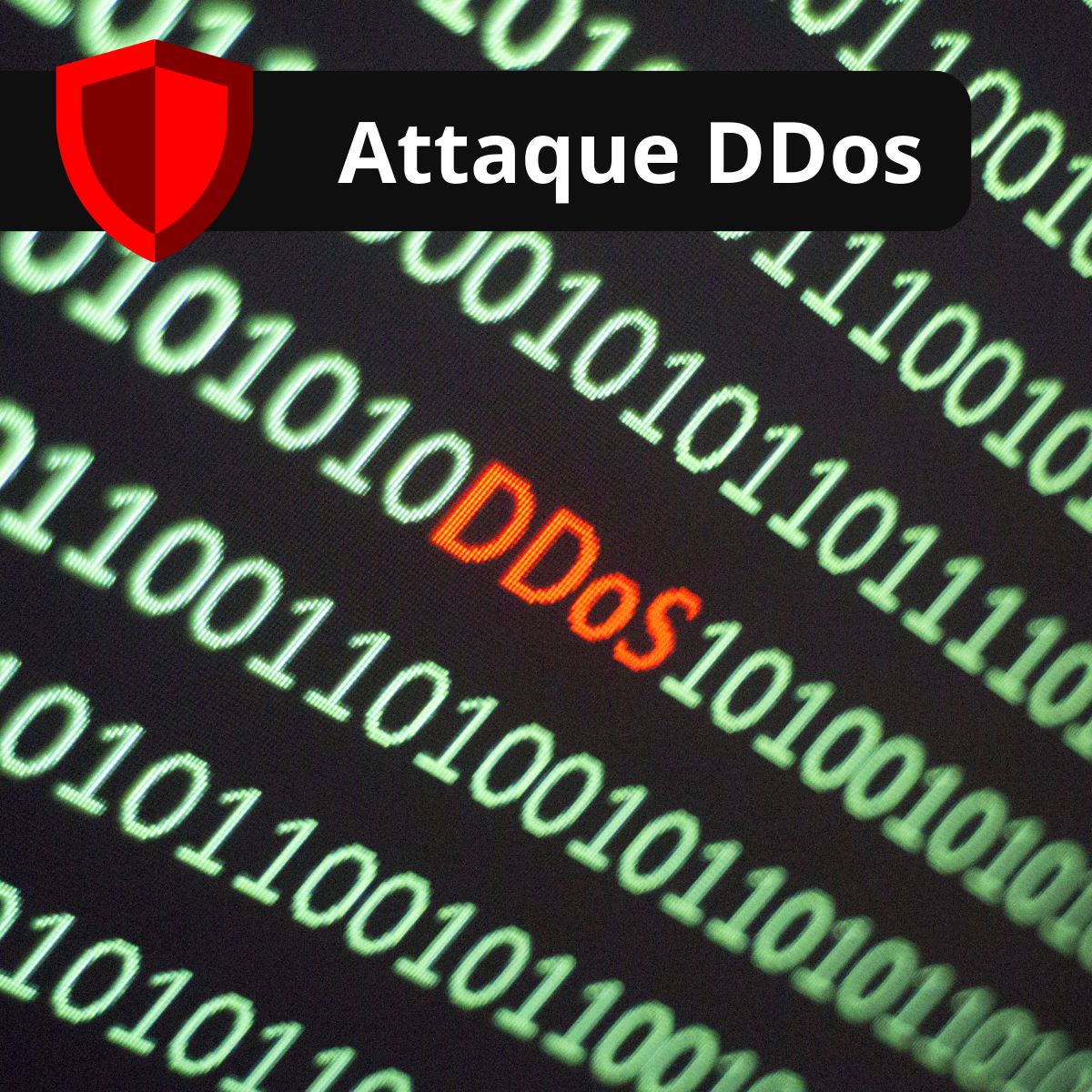 ddos