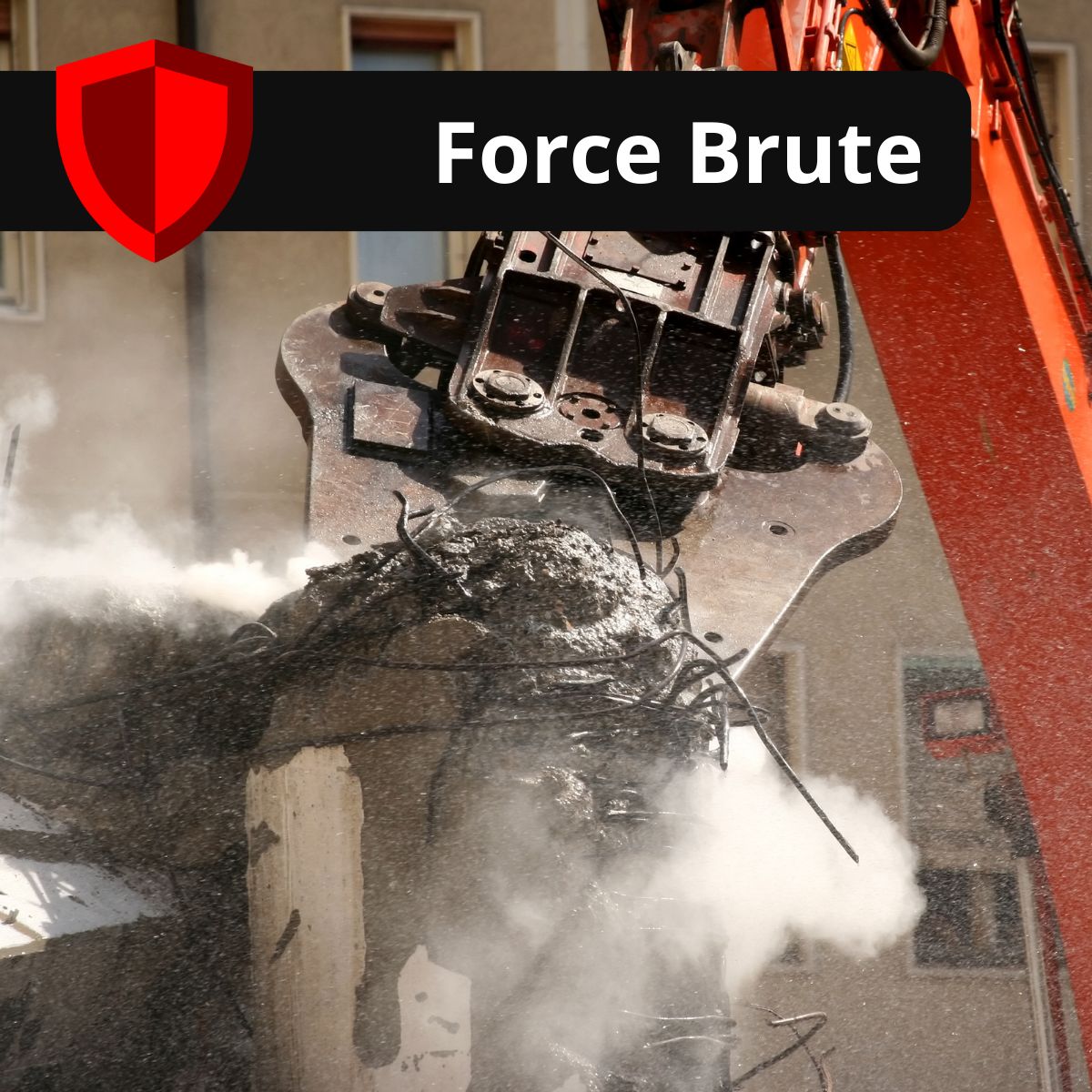 force-brute